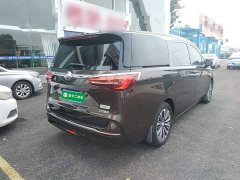 Buick GL8 ES Land Respect 653T Luxury - ფოტო 7