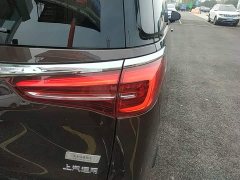 Buick GL8 ES Land Respect 653T Luxury - ფოტო 8