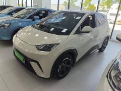 BYD Seagull Glory Edition 305km Freedom Version - ფოტო 1