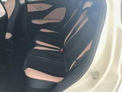 BYD Seagull Glory Edition 305km Freedom Version - ფოტო 13
