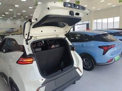 BYD Seagull Glory Edition 305km Freedom Version - ფოტო 15