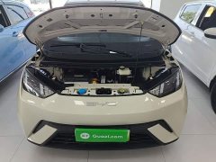 BYD Seagull Glory Edition 305km Freedom Version - ფოტო 16