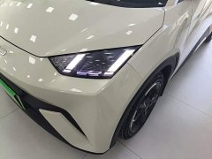 BYD Seagull Glory Edition 305km Freedom Version - ფოტო 18