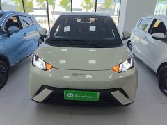 BYD Seagull Glory Edition 305km Freedom Version - ფოტო 3