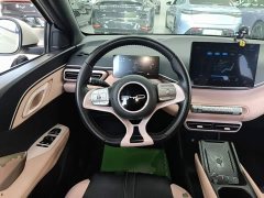 BYD Seagull Glory Edition 305km Freedom Version - ფოტო 7