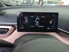 BYD Seagull Glory Edition 305km Freedom Version - ფოტო 8