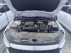 BYD Qin PLUS 2024 Glory Edition DM-i 55KM Leading - ფოტო 20