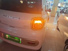 FAW Besturn Xiaoma 222km Dynamic Edition - ფოტო 8