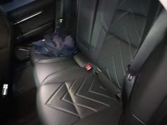 Zeekr Geely Zeekr 001 WE Edition 100kWh - ფოტო 17