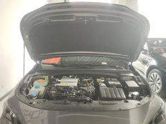 Trumpchi Shadowpanther 2024 270T DCT Shadowpanther R-Style - ფოტო 20