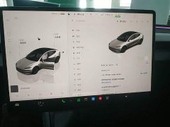 Tesla Model 3 2023 Rear-Wheel Drive - ფოტო 13