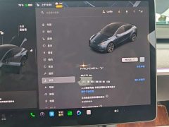 Tesla Model Y Rear-Wheel Drive - ფოტო 12