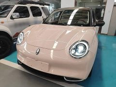 ORA Good Cat 400km Standard Range Athena Edition Ternary Lithium - ფოტო 1