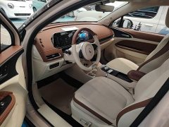 ORA Good Cat 400km Standard Range Athena Edition Ternary Lithium - ფოტო 15