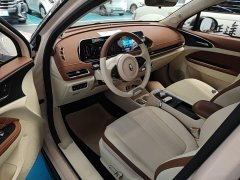 ORA Good Cat 400km Standard Range Athena Edition Ternary Lithium - ფოტო 16