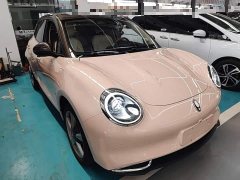 ORA Good Cat 400km Standard Range Athena Edition Ternary Lithium - ფოტო 4