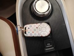 ORA Good Cat 400km Standard Range Athena Edition Ternary Lithium - ფოტო 9