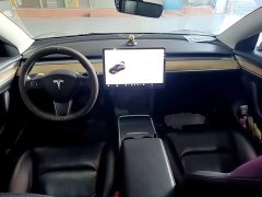 Tesla Model 3 Standard Range RWD Upgrade 3D6 - ფოტო 10