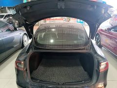 Tesla Model 3 Standard Range RWD Upgrade 3D6 - ფოტო 19