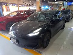 Tesla Model 3 Standard Range RWD Upgrade 3D6 - ფოტო 2