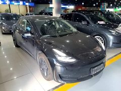 Tesla Model 3 Standard Range RWD Upgrade 3D6 - ფოტო 4