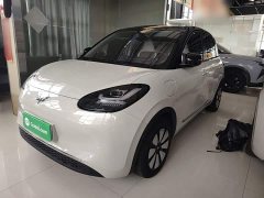 Wuling Binguo 333km Joy Edition - ფოტო 1