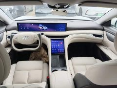 IM Motors Zhiji L6 2024 Max Standard Edition - ფოტო 10