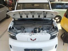 Wuling Zhiguang New Energy 305km Aspiring Edition - ფოტო 14