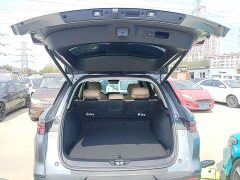 BYD Song Pro New Energy 2nd Gen DM-i 115KM Exceed - ფოტო 19