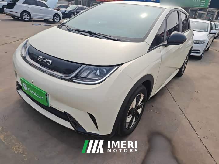 BYD Dolphin 420km Freedom Edition