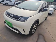 BYD Dolphin 420km Freedom Edition - ფოტო 1