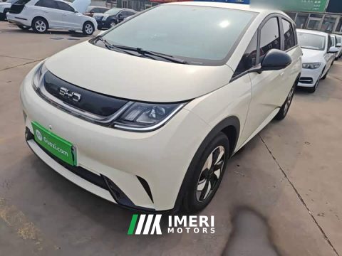 2025 BYD Dolphin 420km Freedom Edition - ავტომობილი ჩინეთიდან