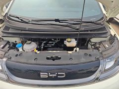 BYD Dolphin 420km Freedom Edition - ფოტო 20