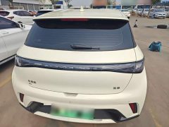 BYD Dolphin 420km Freedom Edition - ფოტო 6