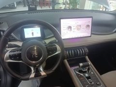 BYD Yuan Plus 2023 Champion Edition 430KM Leading - ფოტო 10