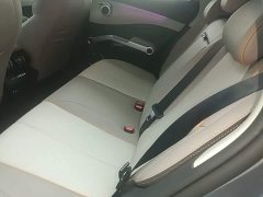 BYD Yuan Plus 2023 Champion Edition 430KM Leading - ფოტო 17
