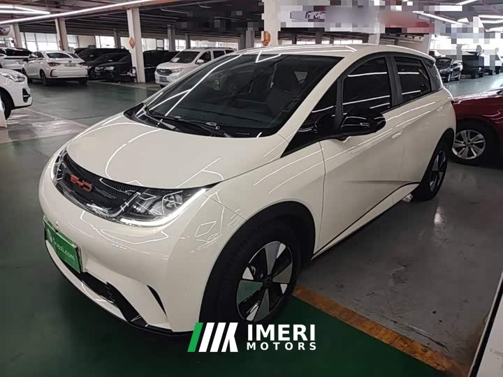 BYD Dolphin 420km Freedom Edition - ავტომობილი ჩინეთიდან