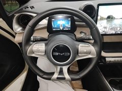 BYD Dolphin 420km Freedom Edition - ფოტო 11