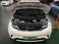 BYD Dolphin 420km Freedom Edition - ფოტო 20