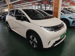 BYD Dolphin 420km Freedom Edition - ფოტო 4
