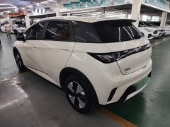 BYD Dolphin 420km Freedom Edition - ფოტო 5