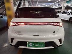 BYD Dolphin 420km Freedom Edition - ფოტო 6