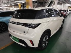 BYD Dolphin 420km Freedom Edition - ფოტო 7