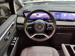 Buick GL8 Luzun Respect Edition - ფოტო 11