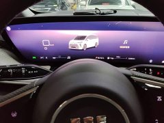 Buick GL8 Luzun Respect Edition - ფოტო 12