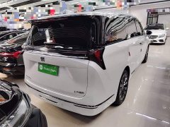 Buick GL8 Luzun Respect Edition - ფოტო 7
