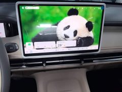 Wuling Bingo S 2025 325km Flagship - ფოტო 13