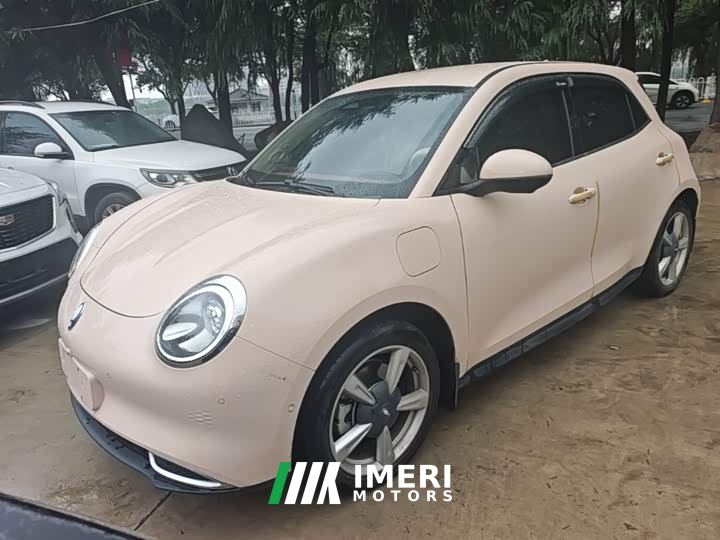 ORA Good Cat 401km Standard Range Luxury LFP