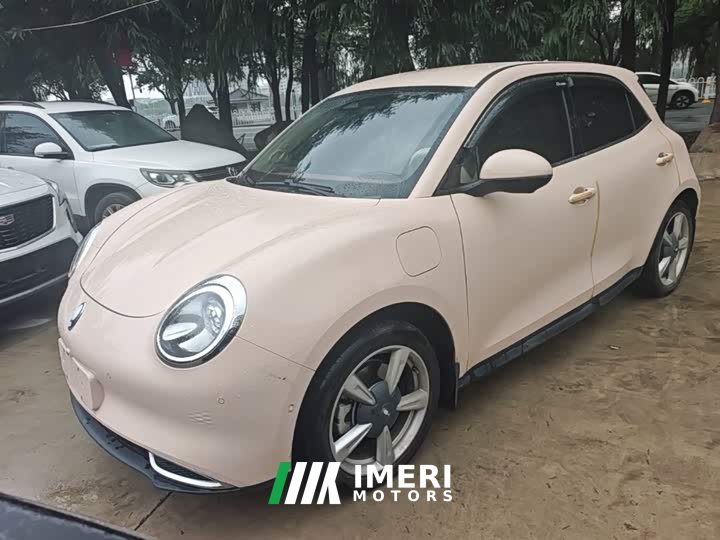 ORA Good Cat 401km Standard Range Luxury LFP - ავტომობილი ჩინეთიდან