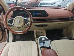 ORA Good Cat 401km Standard Range Luxury LFP - ფოტო 10